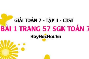 Giải bài 1 trang 57 Toán 7 Tập 1 SGK Chân trời sáng tạo: Lăng trụ đứng